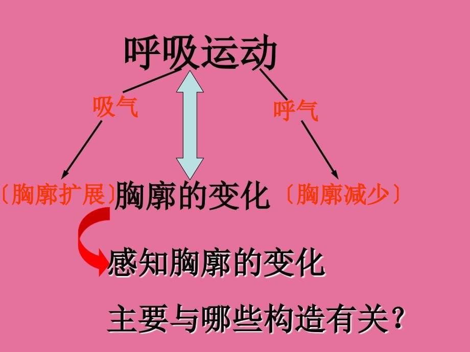 七年级生物下册第三章第二节发生在肺内的气体交换ppt课件_第5页