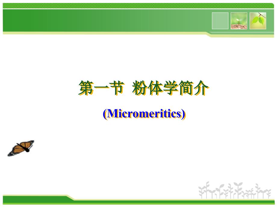 颗粒剂与胶囊剂课件_第2页