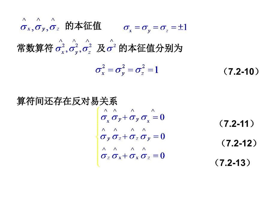 7.2电子自旋算符和自旋函数_第5页