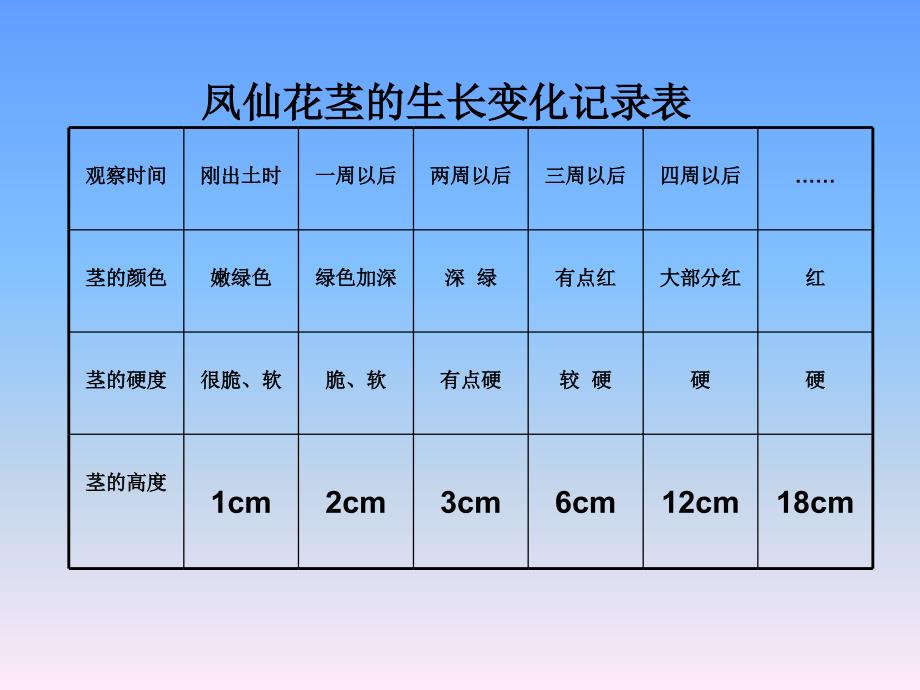 凤仙花茎的生长变化记录.ppt_第1页