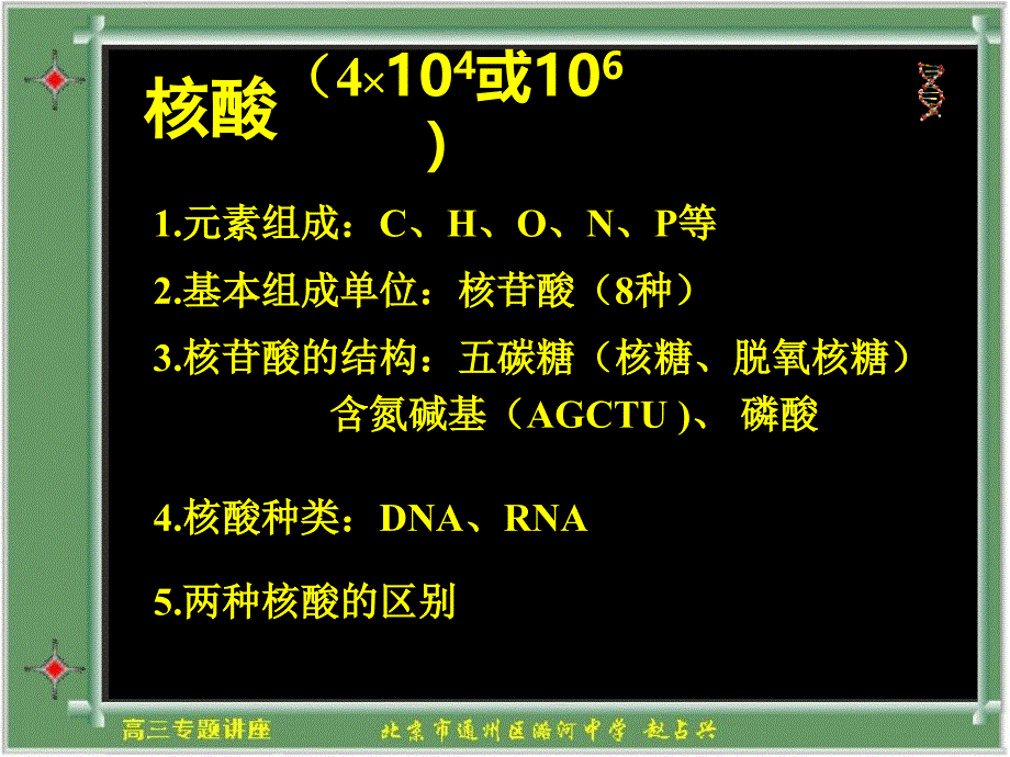 高三讲座核酸_第4页