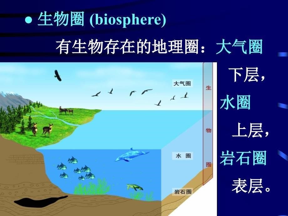 《普通生物学》课件01-绪论-西南大学课件_第5页