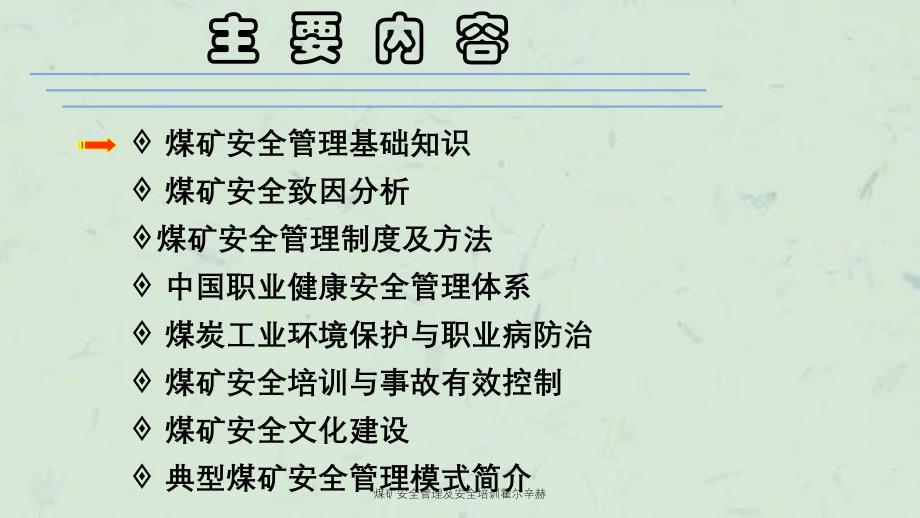 煤矿安全管理及安全培训霍尔辛赫课件_第3页