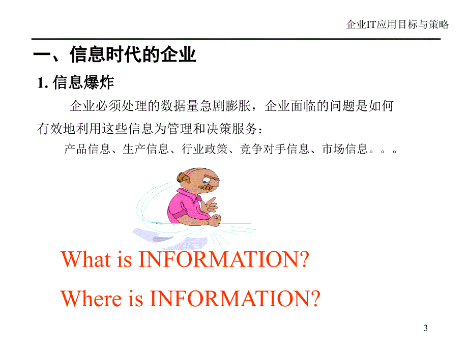 企业IT应用目标与策略_第3页