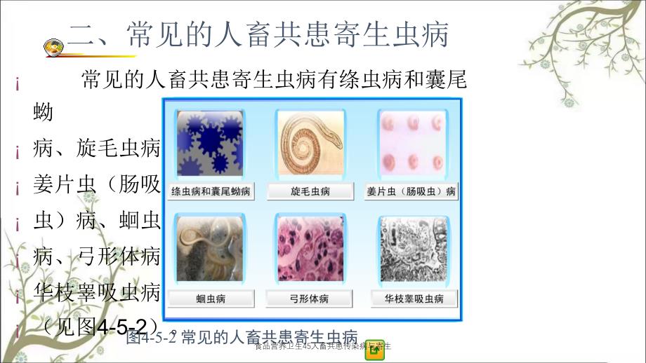 食品营养卫生45人畜共患传染病与寄生_第4页