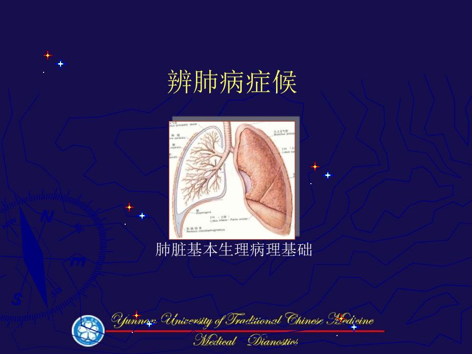 《辨肺病证候》PPT课件_第1页