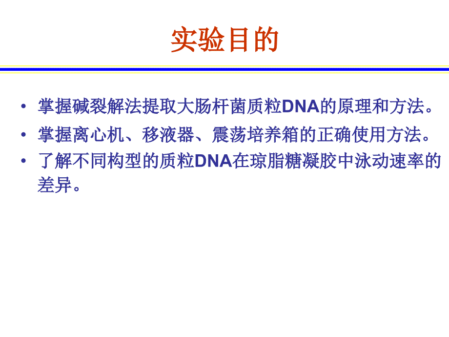 实验大肠杆菌质粒DNA的提取与电泳检测_第2页