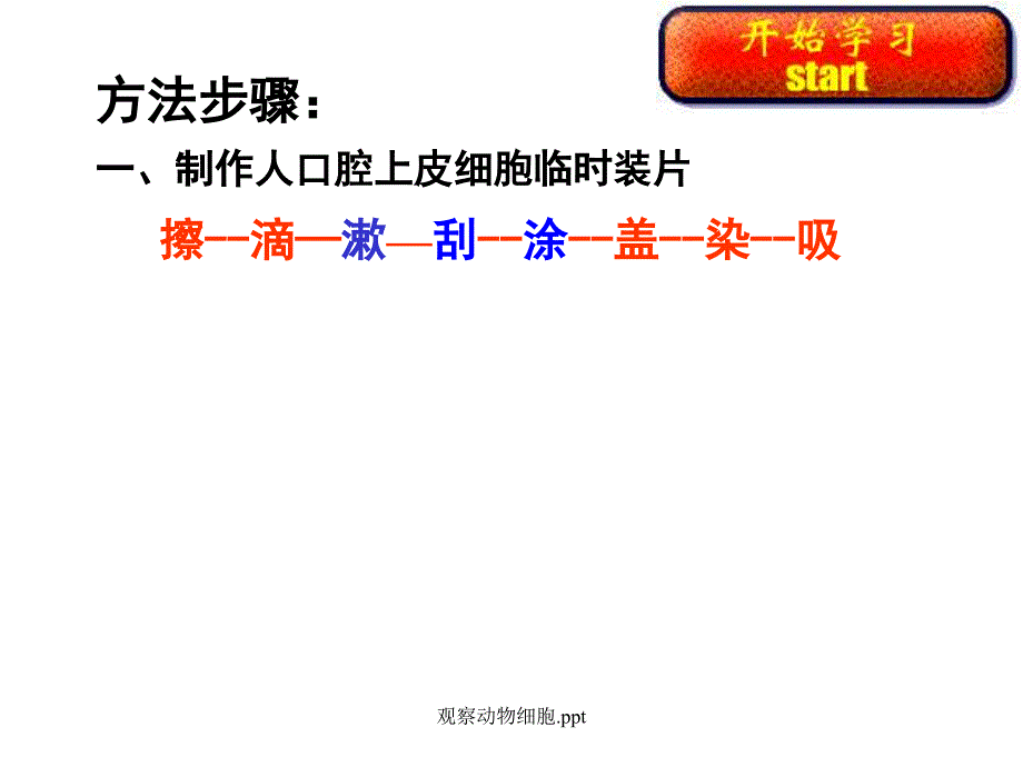 观察动物细胞.ppt经典实用_第4页