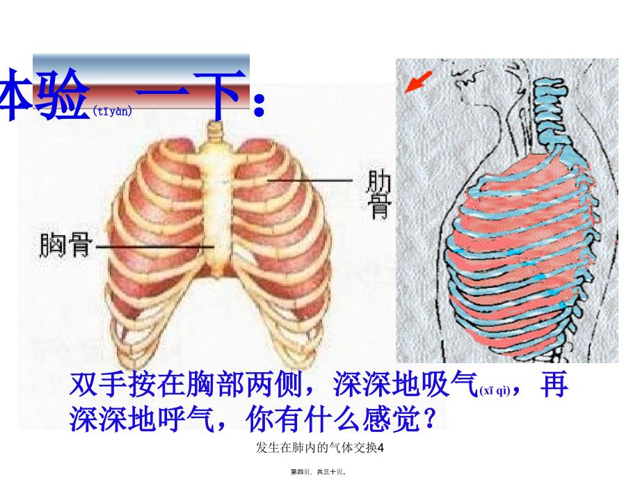 发生在肺内的气体交换4课件_第4页