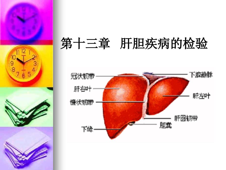 专13肝胆疾病的检验_第1页