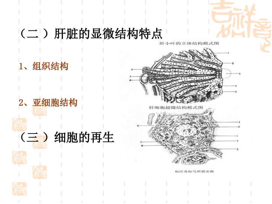 专13肝胆疾病的检验_第4页