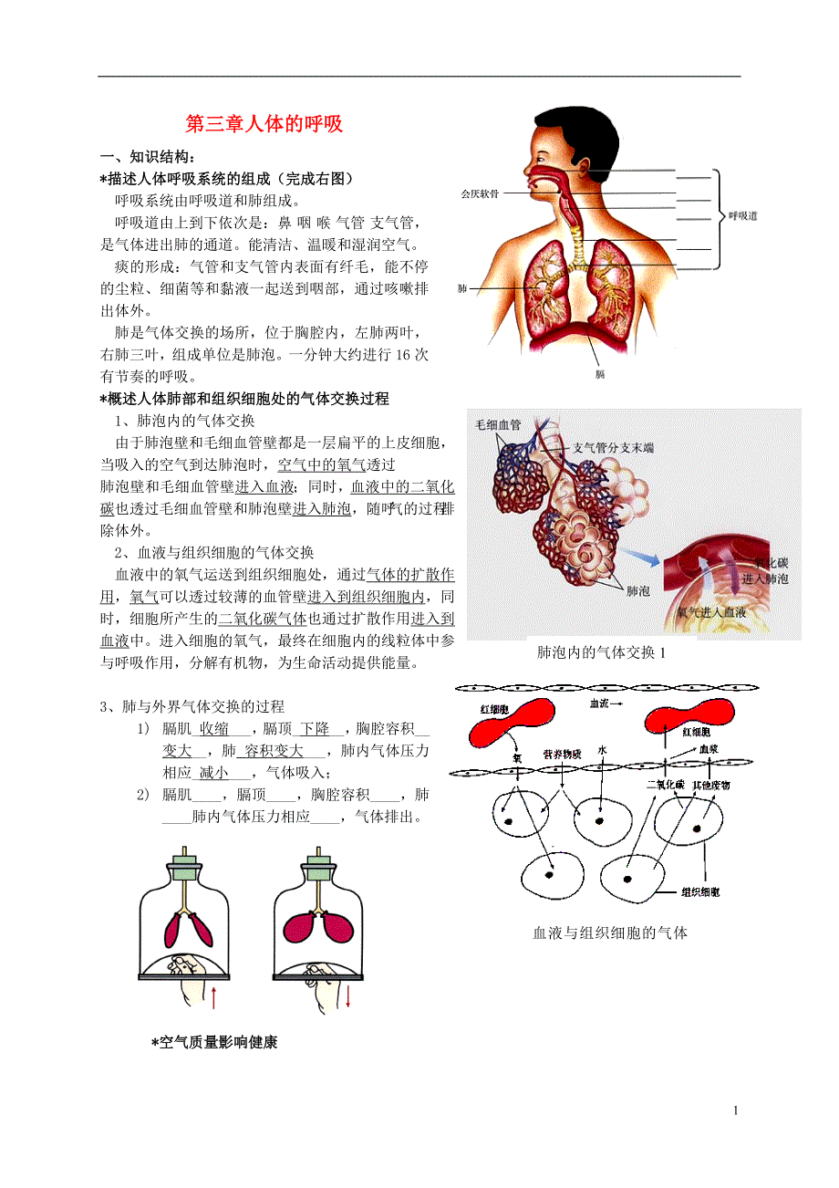 山东省泰安市新泰七年级生物下册 第三章 人体的呼吸复习学案（无答案） 新人教版_第1页