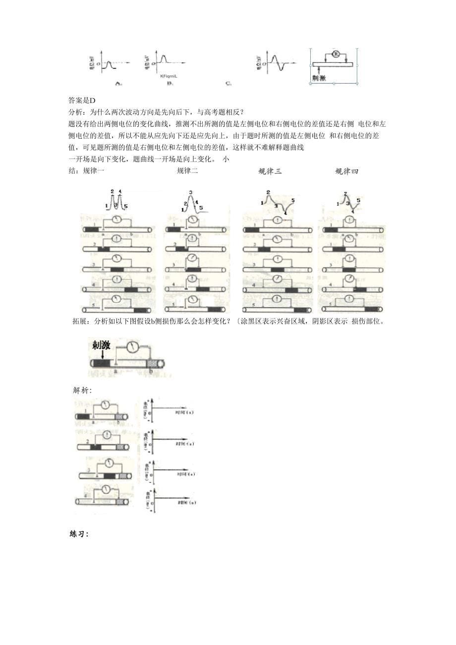 膜电位变化及其测量_第5页