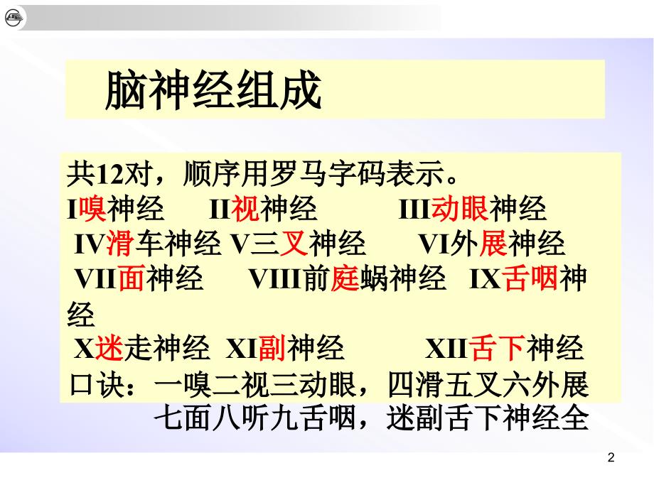 12对脑神经PPT课件_第2页