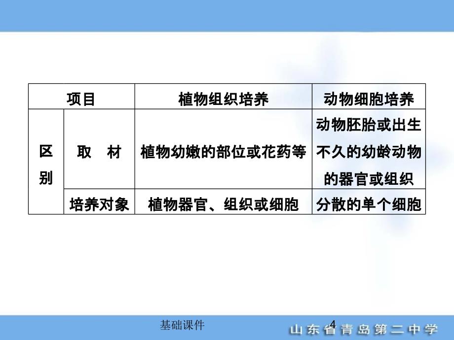 2好 细胞工程课件【教资优择】_第4页