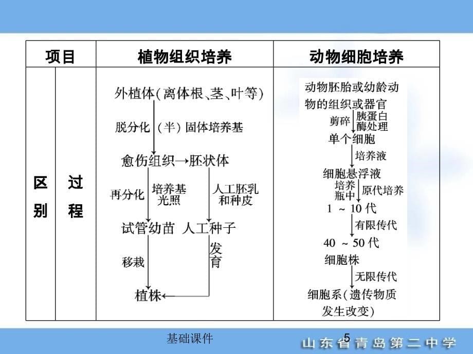 2好 细胞工程课件【教资优择】_第5页