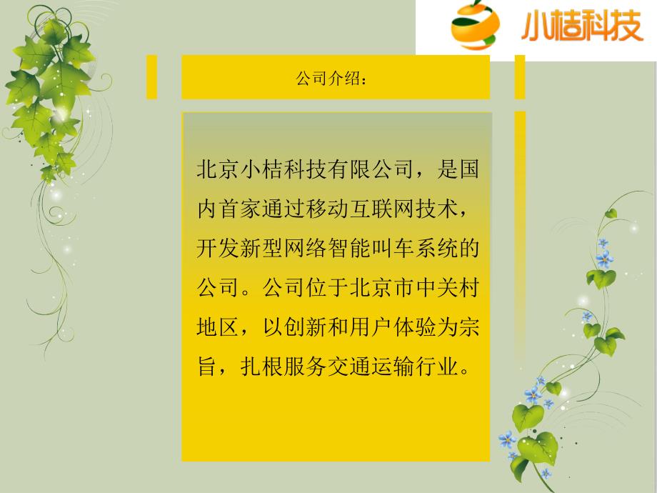 嘀嘀打车简介及商业模式分析课件_第4页