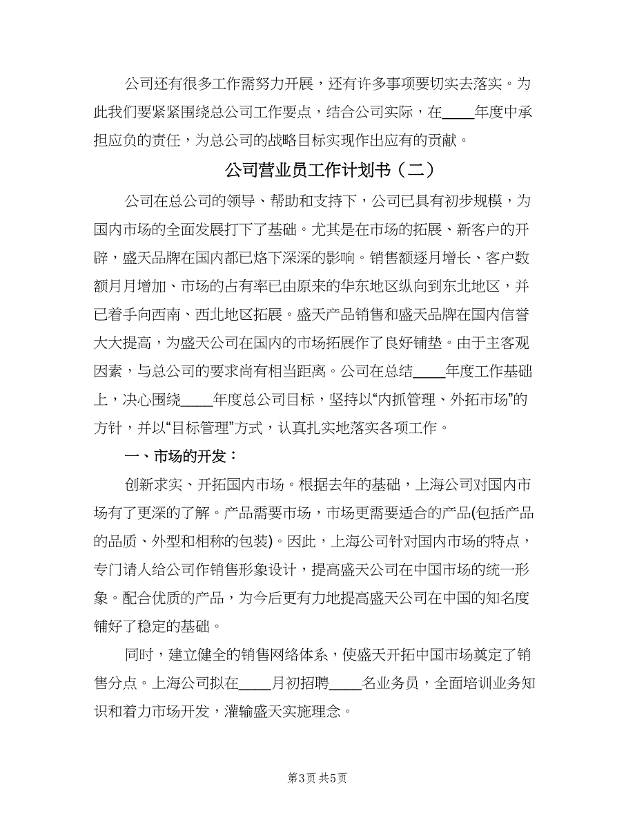 公司营业员工作计划书（二篇）.doc_第3页