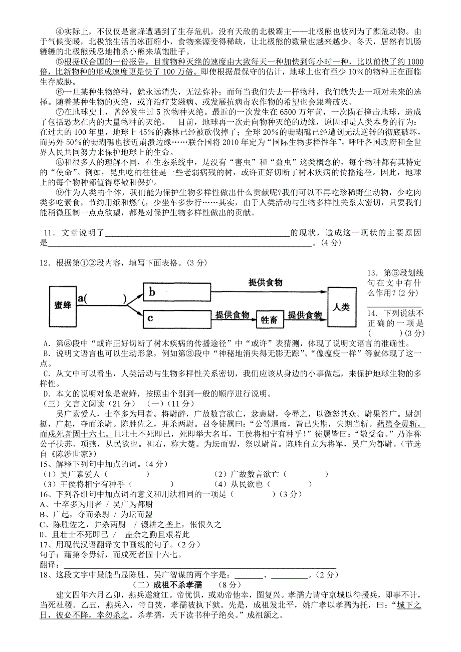 语文期中复习试题卷.doc_第3页