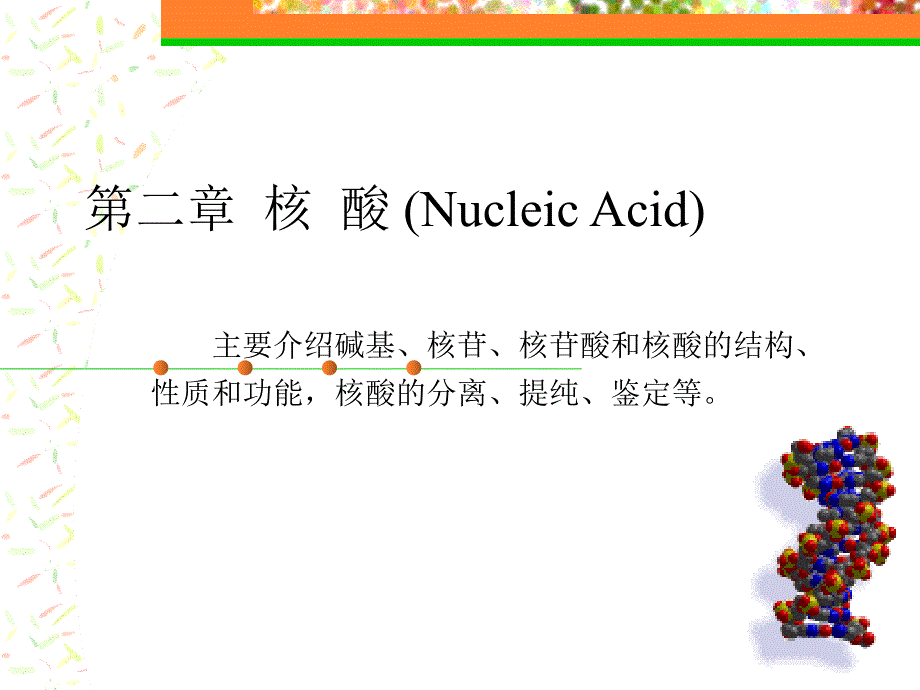 核酸化学课件_第1页