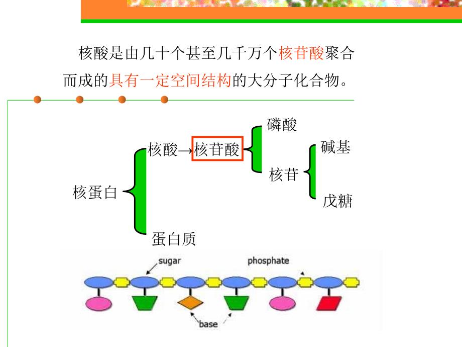 核酸化学课件_第3页