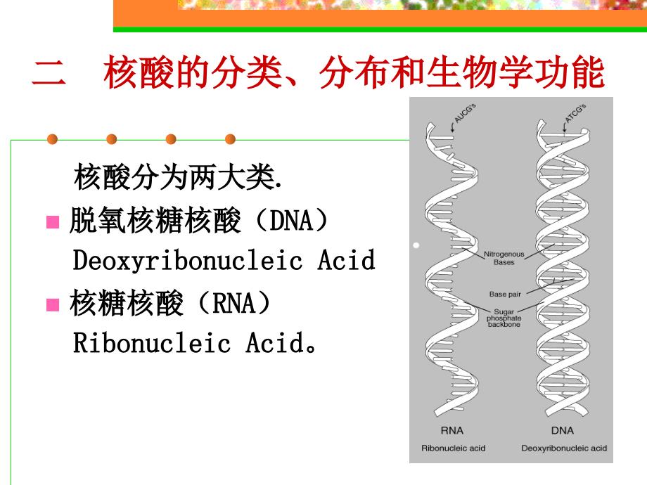 核酸化学课件_第4页