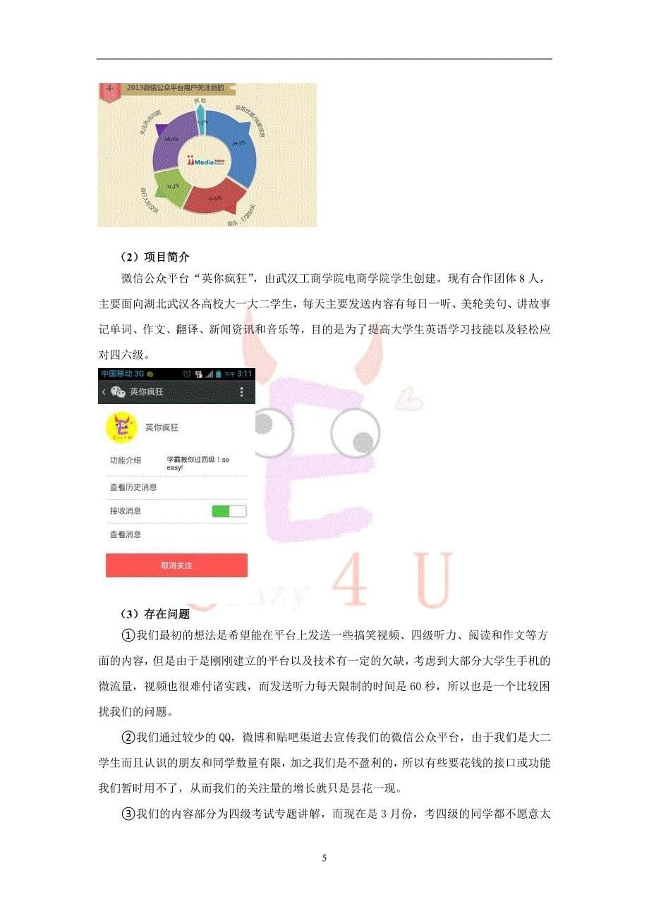 策划方案-—微信电商项目策划书_第5页