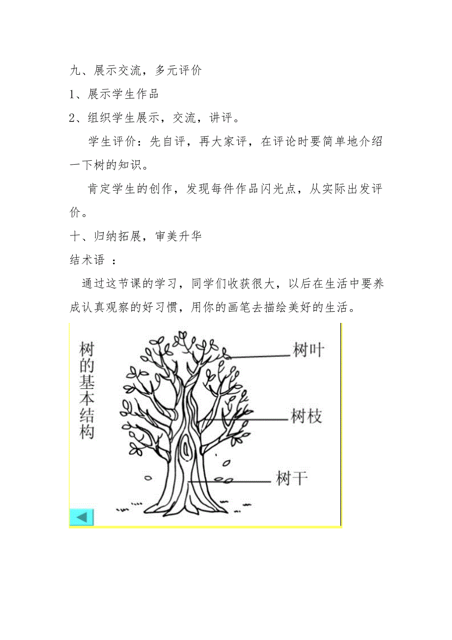 认识身边的树教案详解_第4页