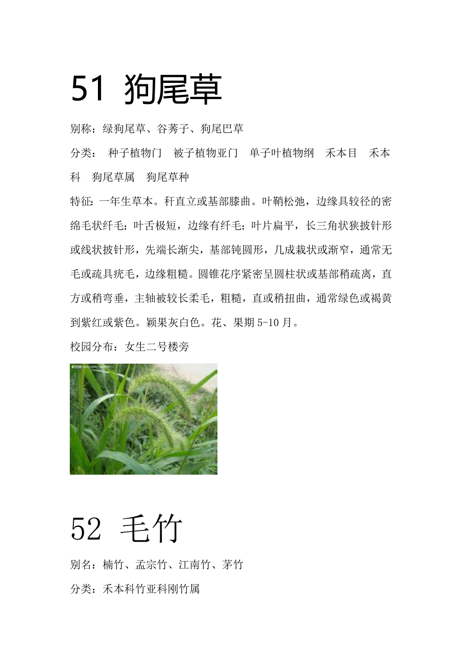 商丘师范学院百种植物二_第1页