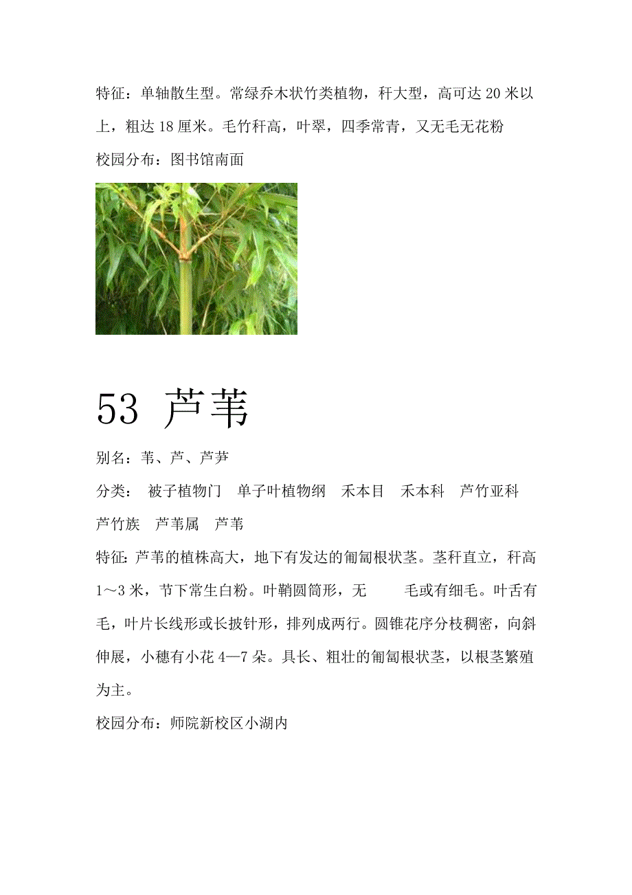 商丘师范学院百种植物二_第2页