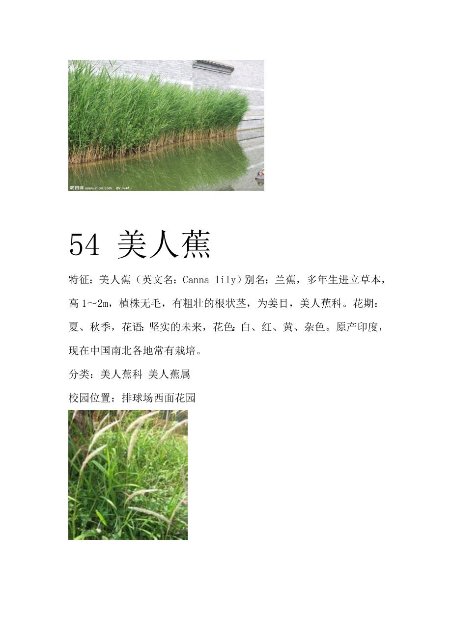 商丘师范学院百种植物二_第3页