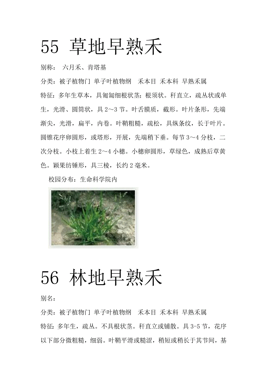 商丘师范学院百种植物二_第4页