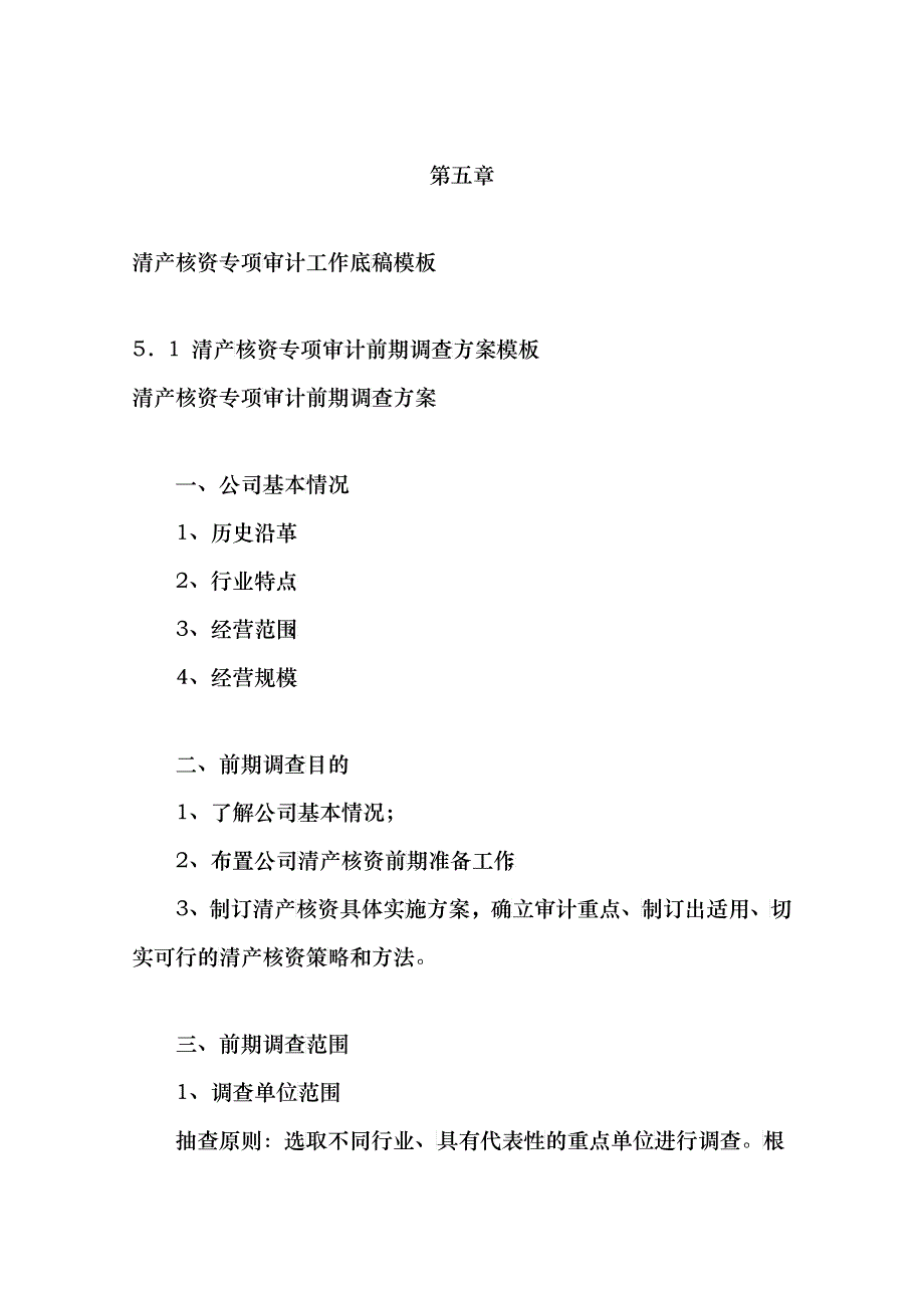 清产核资专项审计计划底稿模板_第1页