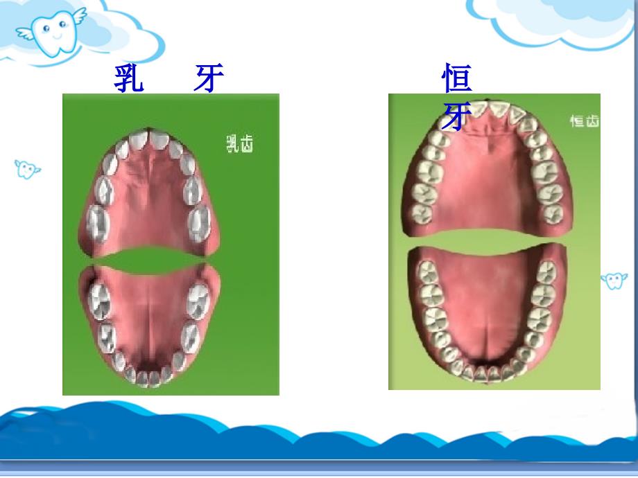 保护牙齿课件爱护牙齿课件_第4页