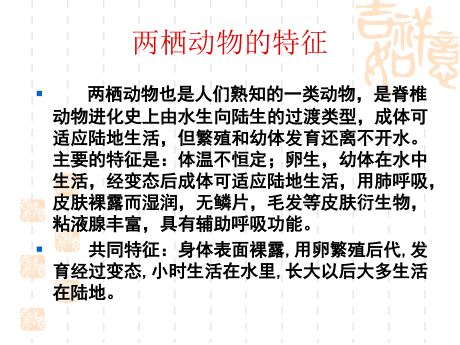 《认识两栖动物》PPT课件_第2页