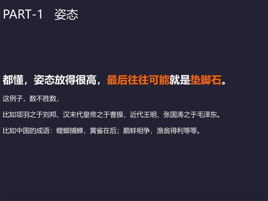 长城盛花07月11日深圳新辉大&#183;汇龙湾传播沟通策略_第5页