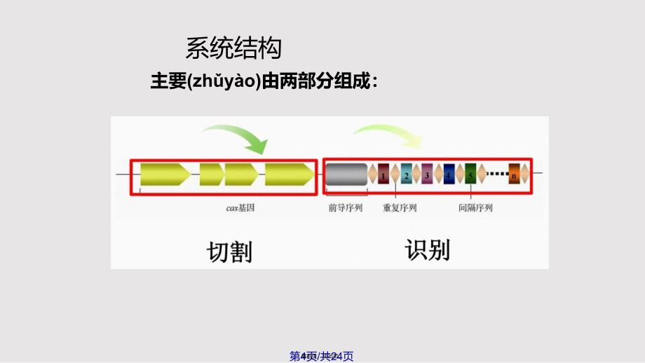 CRISPRCas基因编辑技术简介实用教案_第4页