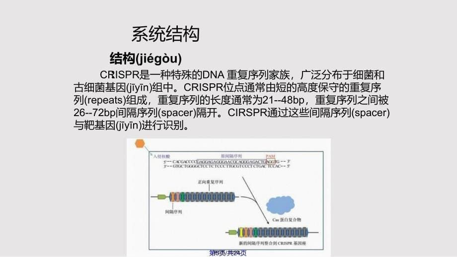 CRISPRCas基因编辑技术简介实用教案_第5页