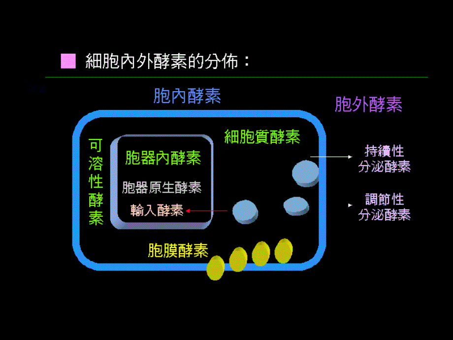 一些酶常用活力测定方法_第2页