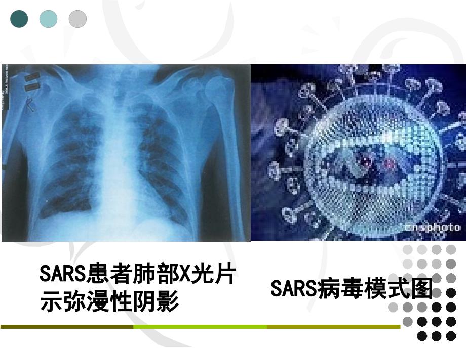 从生物圈到细胞_第2页