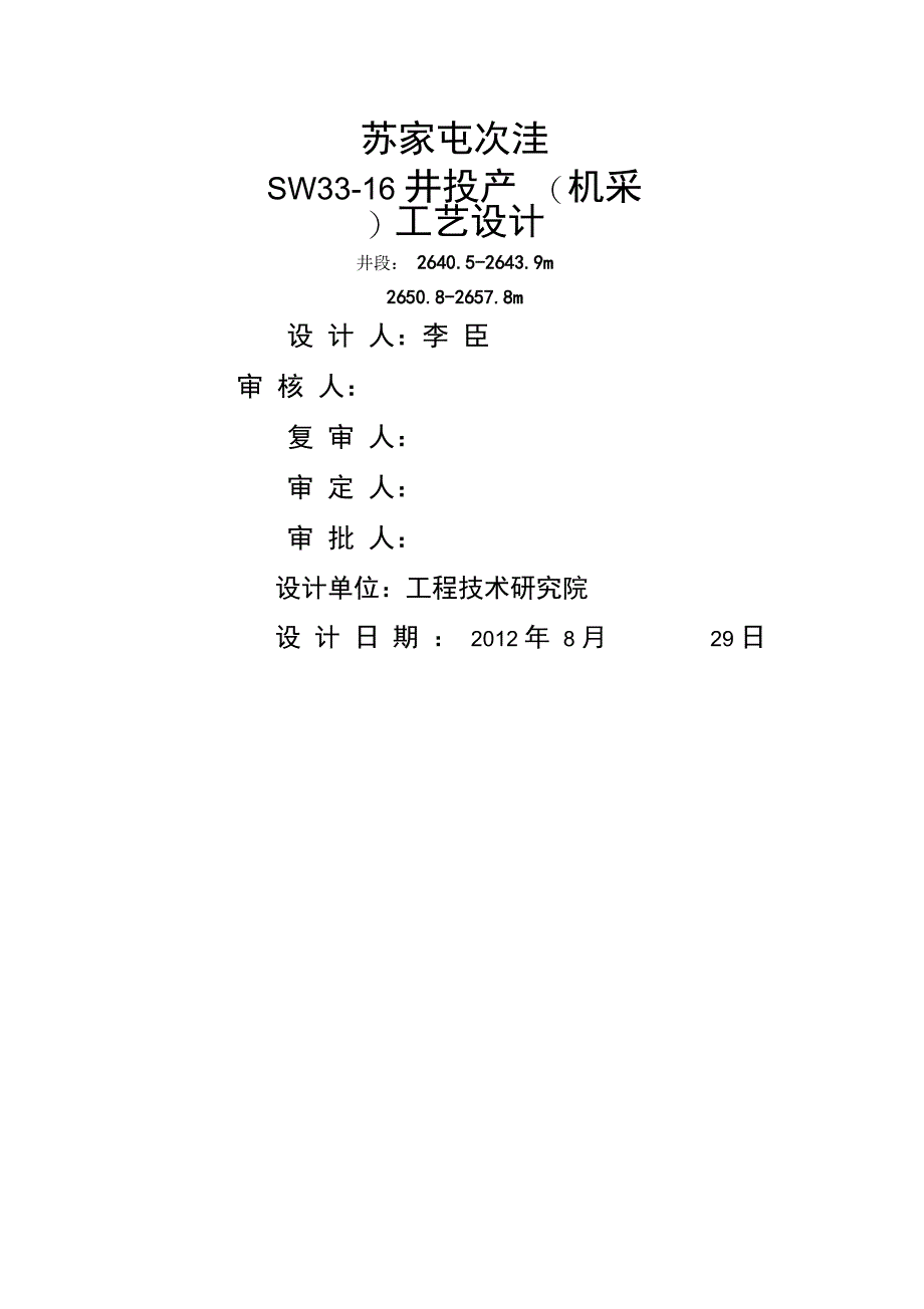 SW井投产工艺设计方案_第2页