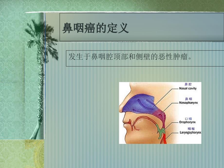 鼻咽癌护理常规课件_第3页