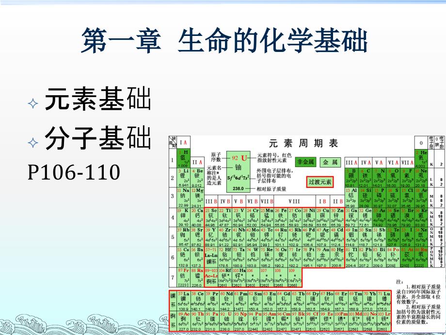 生命的化学基础ppt课件_第2页