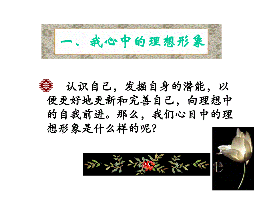 政治自我新形象公开课1_第3页