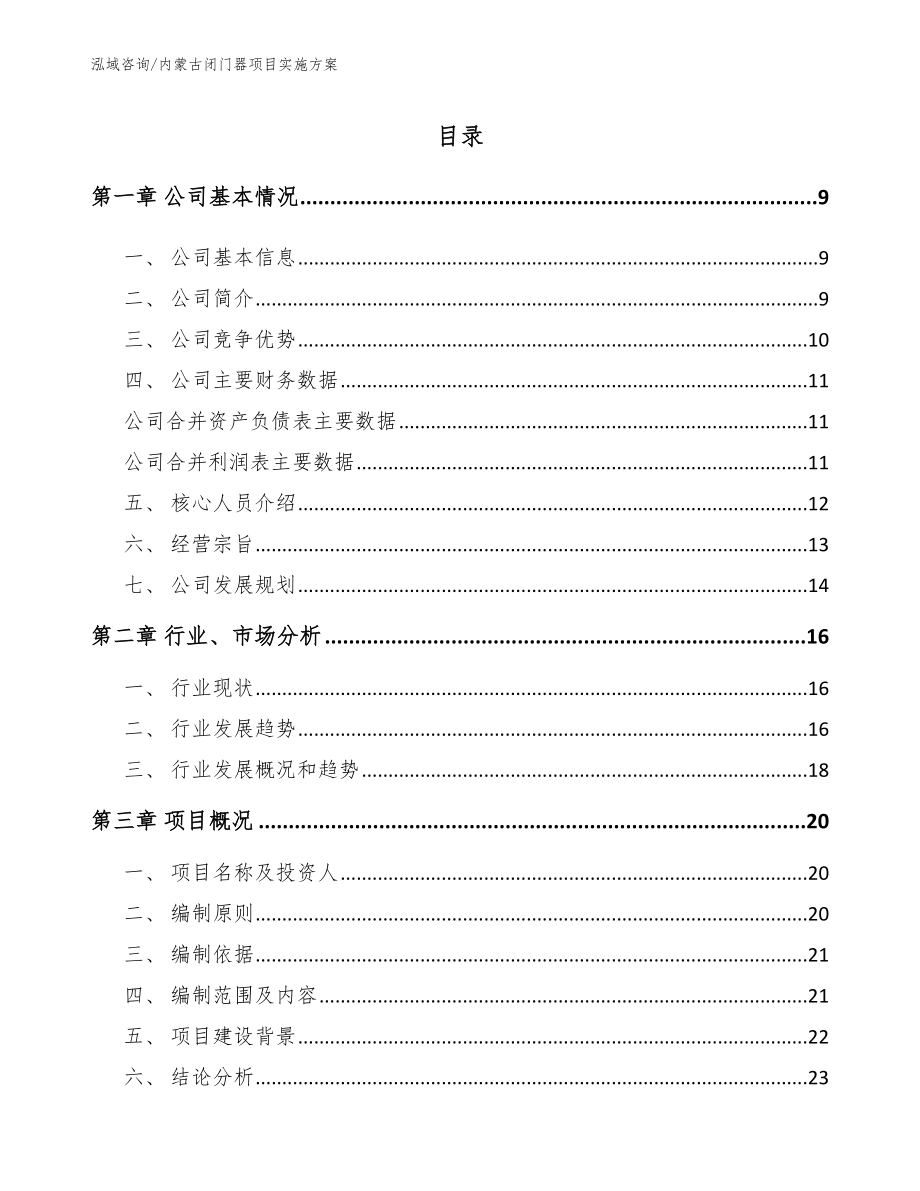 内蒙古闭门器项目实施方案模板_第1页