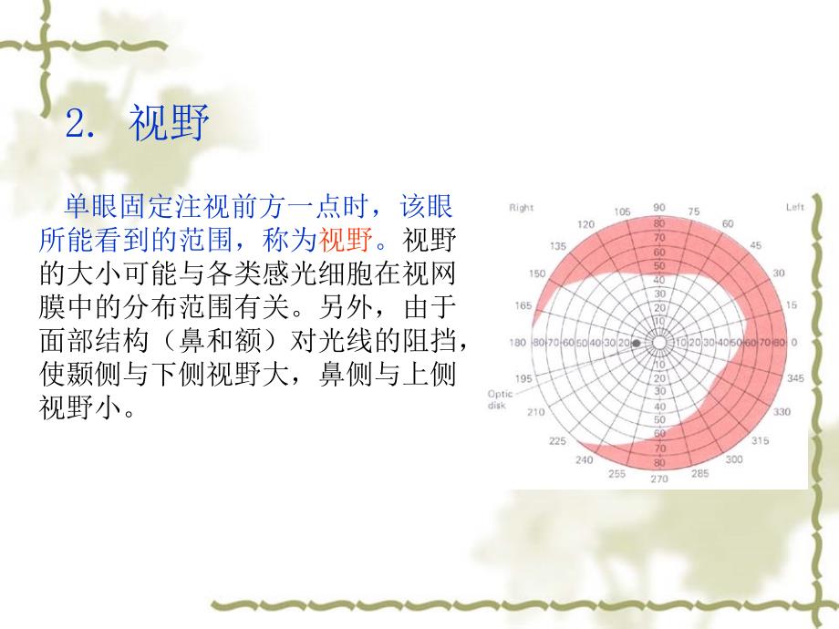 视力视野色盲的测评_第4页