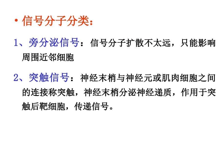 细胞生物学细胞信号转导与信号传递系统_第5页