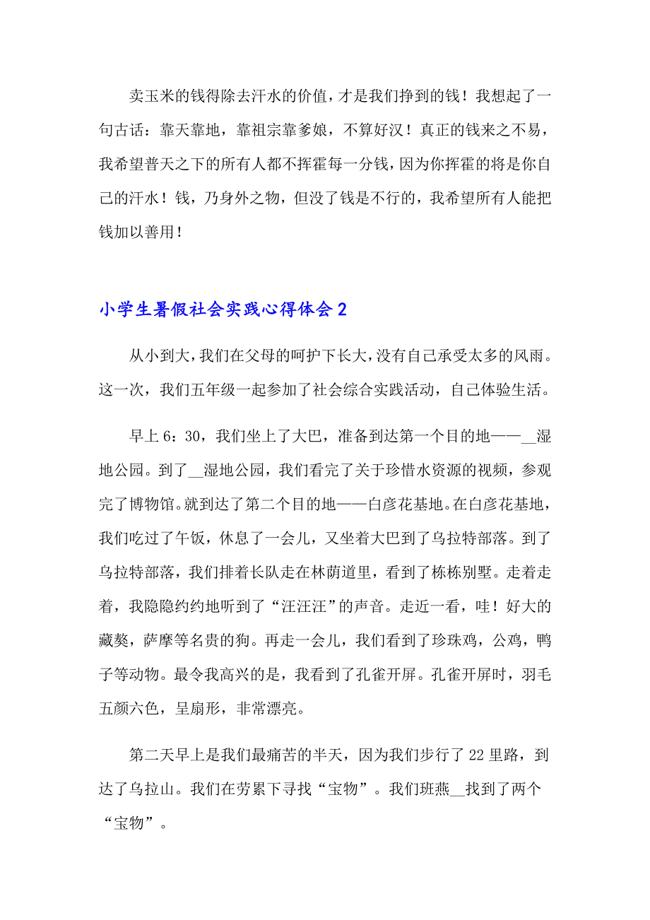 2023年小学生暑假社会实践心得体会集锦10篇_第2页