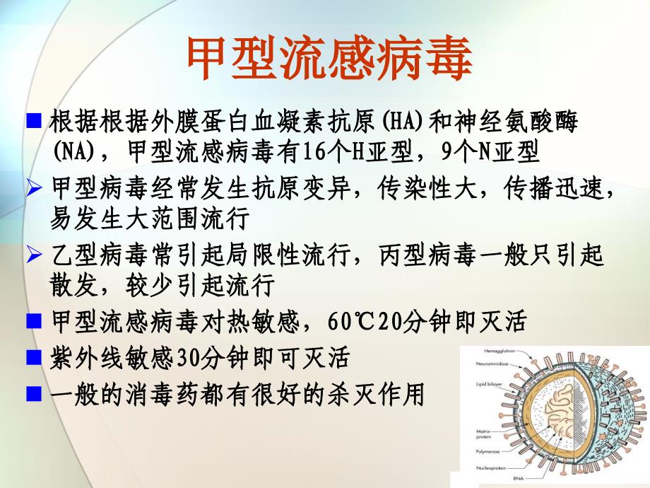 甲型H1N1流感防控主题班会课件_第3页