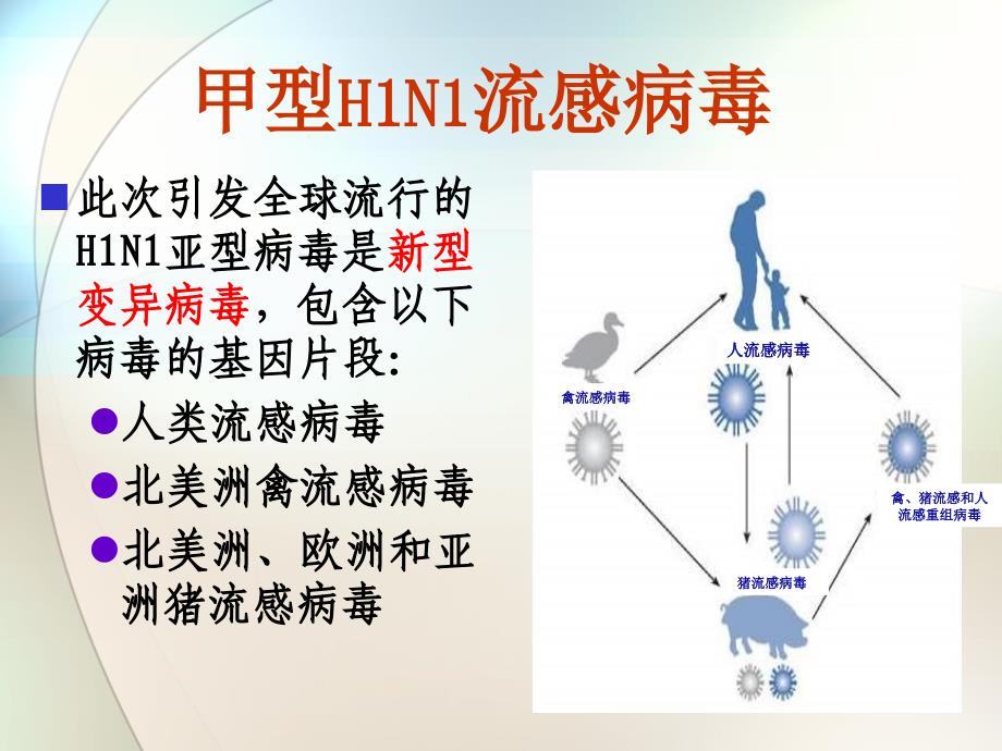 甲型H1N1流感防控主题班会课件_第4页